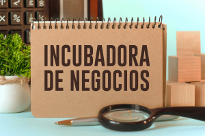 Incubadora de Negocios